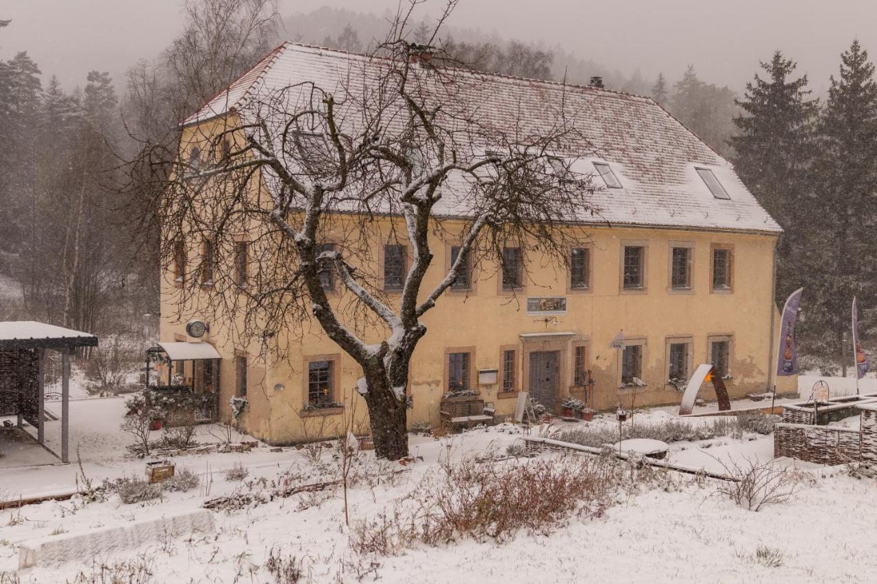 Holzwerk Oybin Lejlighed Eksteriør billede